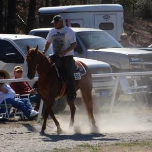 Meet your Posher, Jamie